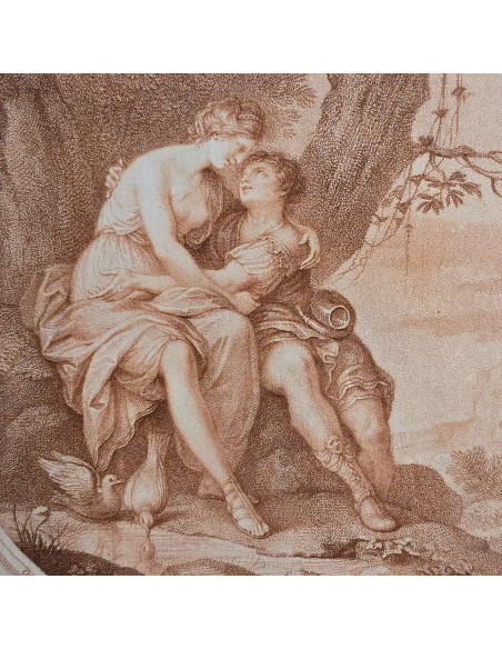VENUS & ADONIS