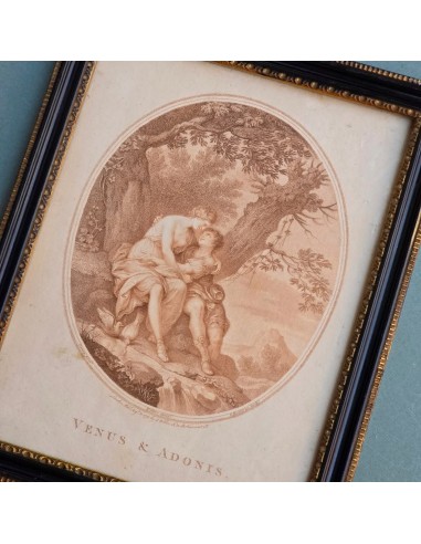 VENUS & ADONIS