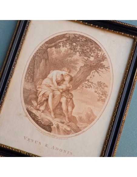 VENUS & ADONIS