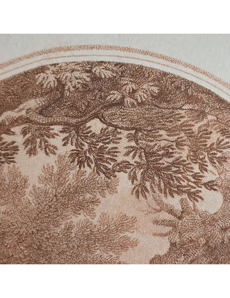 VENUS & ADONIS