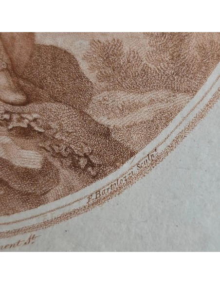 VENUS & ADONIS