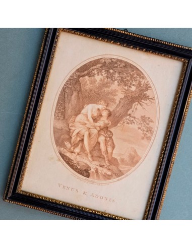 VENUS & ADONIS