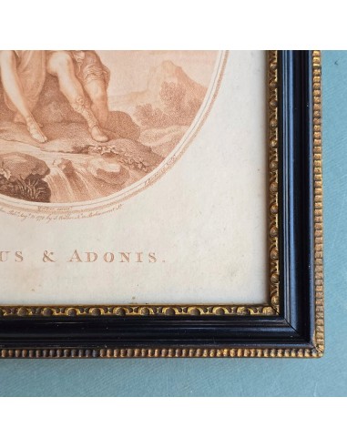 VENUS & ADONIS
