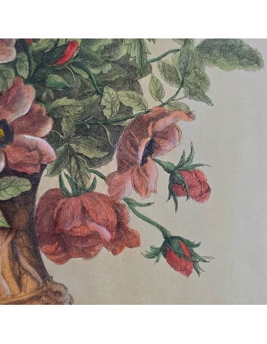 LES VASES DIAPHANES