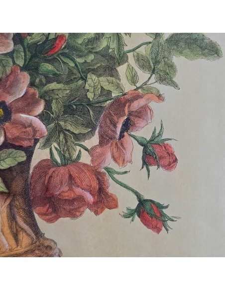 LES VASES DIAPHANES