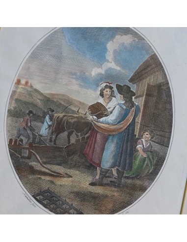 I 12 MESI in HOGARTH