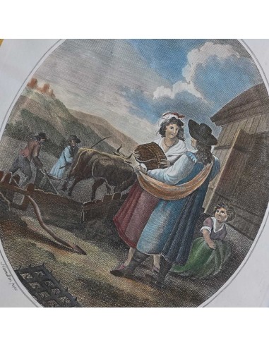 I 12 MESI in HOGARTH