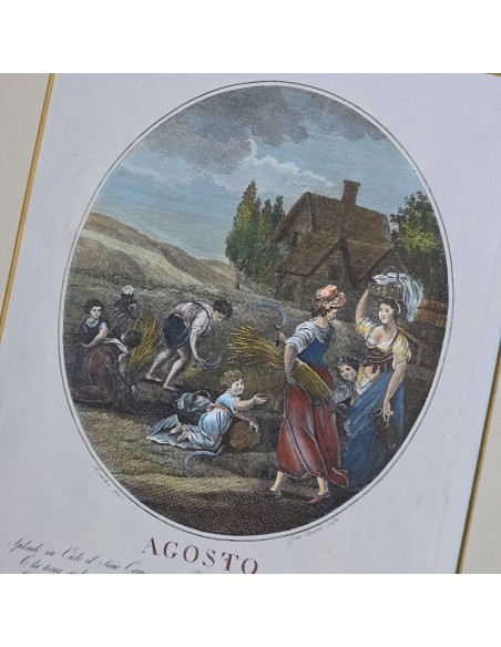 I 12 MESI in HOGARTH