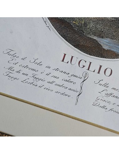 I 12 MESI in HOGARTH