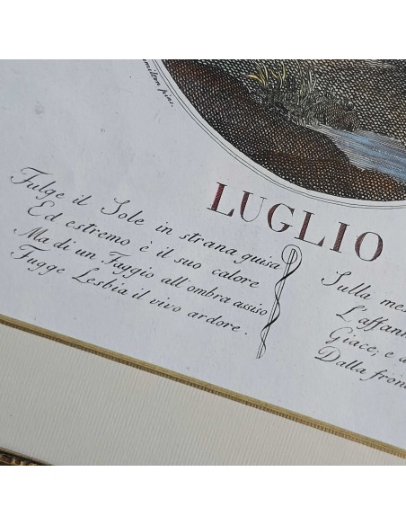 I 12 MESI in HOGARTH