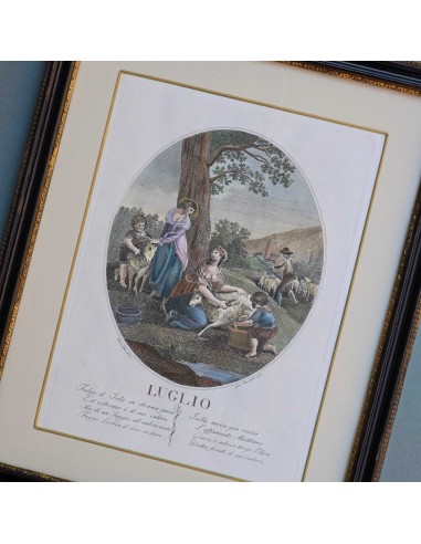 I 12 MESI in HOGARTH