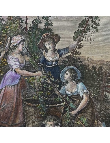 I 12 MESI in HOGARTH
