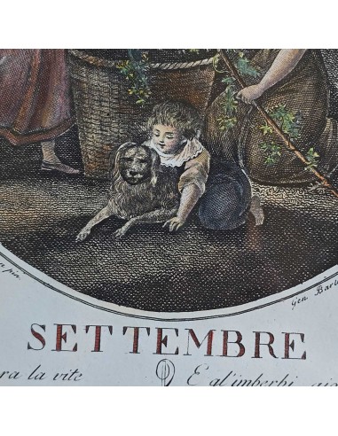 I 12 MESI in HOGARTH