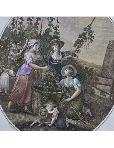 I 12 MESI in HOGARTH