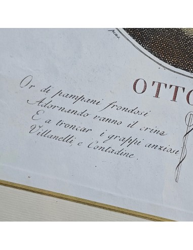 I 12 MESI in HOGARTH