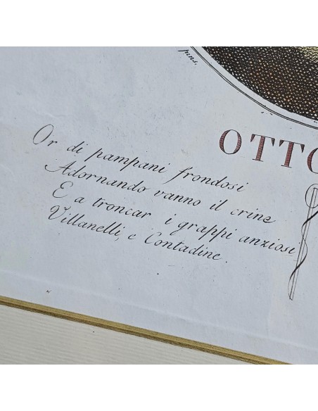 I 12 MESI in HOGARTH