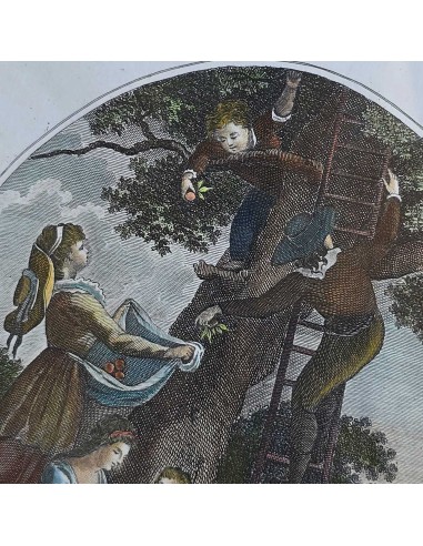 I 12 MESI in HOGARTH