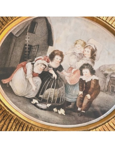 BAMBINI e PULCINI