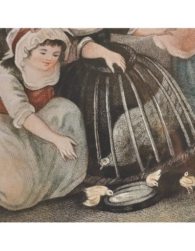 BAMBINI e PULCINI