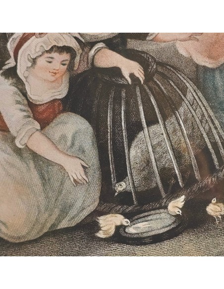 BAMBINI e PULCINI