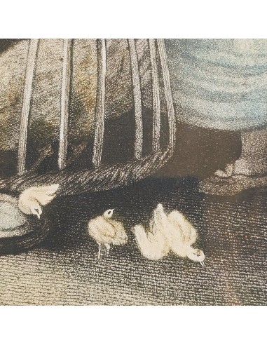 BAMBINI e PULCINI