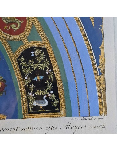 LOGGE VATICANE - VERDE