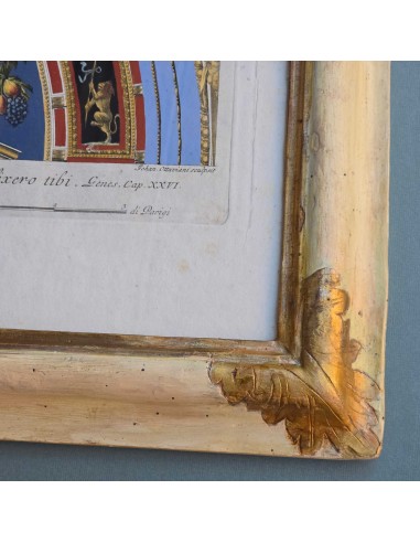 LOGGE VATICANE - PANNA