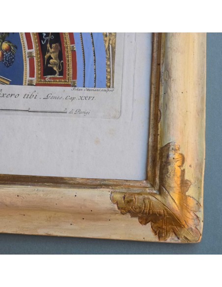 LOGGE VATICANE - PANNA