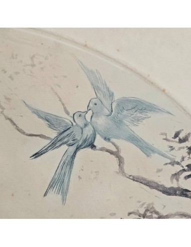 LE COLOMBE