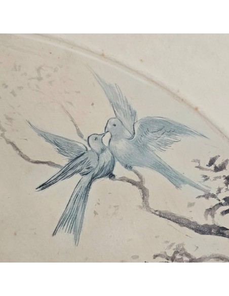 LE COLOMBE