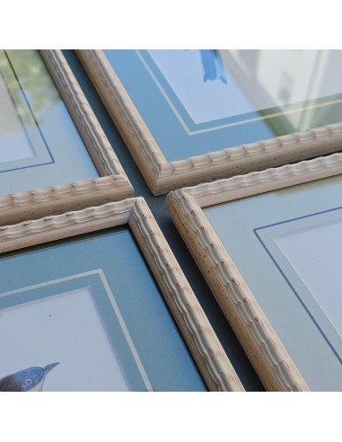 UCCELLI IN AVORIO