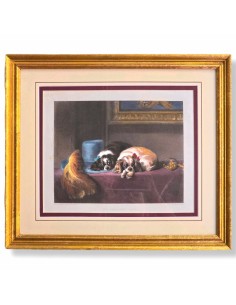 CAVALIER KING CHARLES SPANIEL