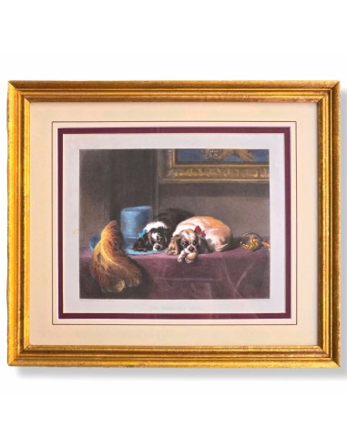 CAVALIER KING CHARLES SPANIEL