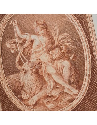 TERRA