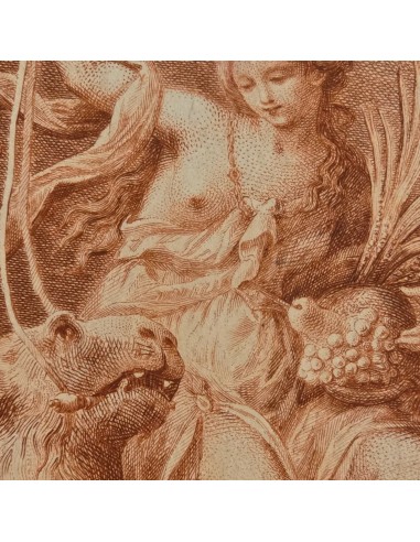 TERRA