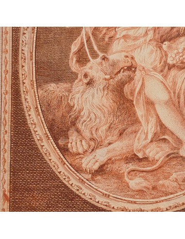 TERRA