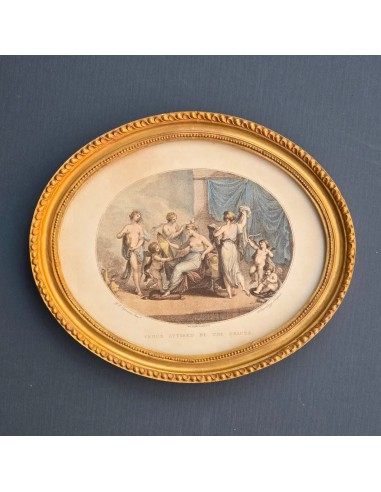 VENUS ATTIRED BY THE GRACES