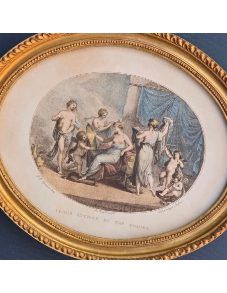 VENUS ATTIRED BY THE GRACES