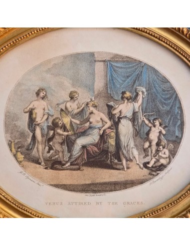 VENUS ATTIRED BY THE GRACES