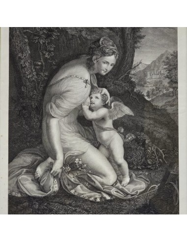 VENERE ALLATTA AMORE
