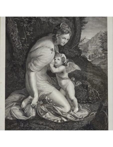 VENERE ALLATTA AMORE