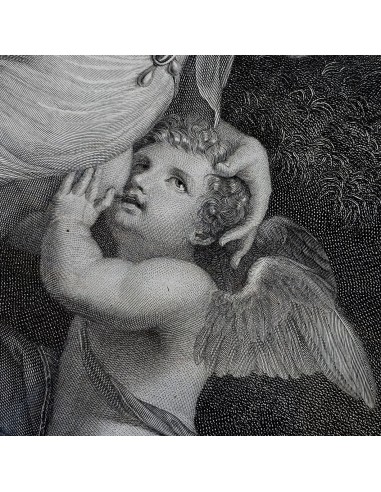 VENERE ALLATTA AMORE