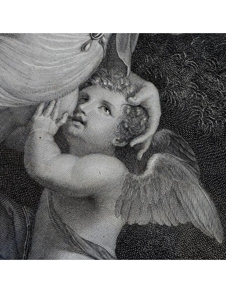 VENERE ALLATTA AMORE