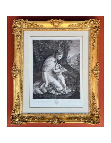 VENERE ALLATTA AMORE