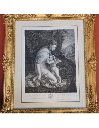 VENERE ALLATTA AMORE