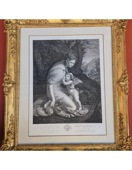 VENERE ALLATTA AMORE