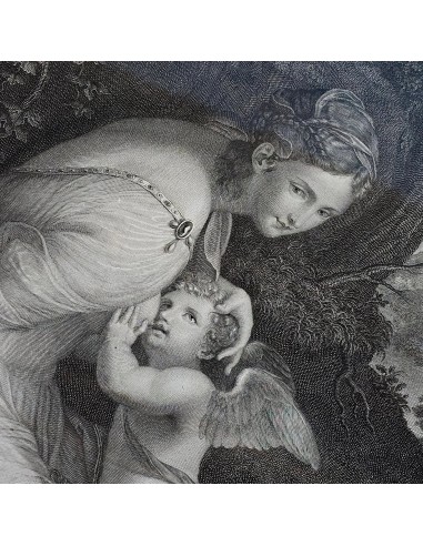 VENERE ALLATTA AMORE