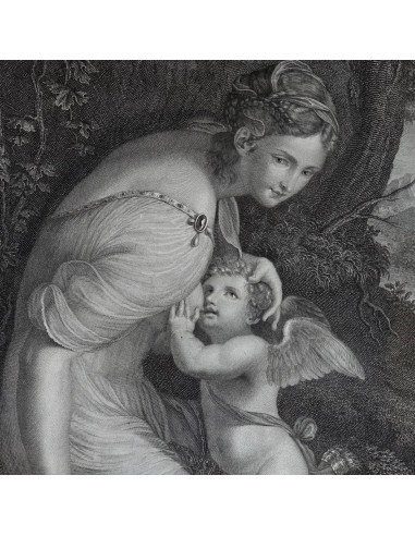 VENERE ALLATTA AMORE