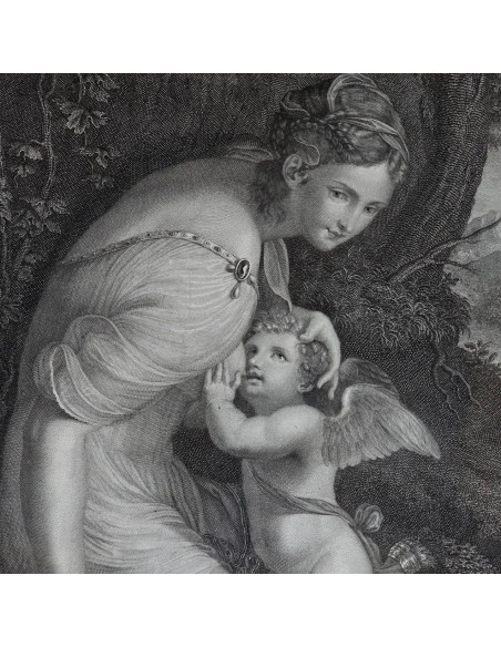 VENERE ALLATTA AMORE