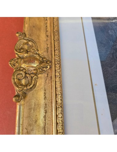 VENERE ALLATTA AMORE